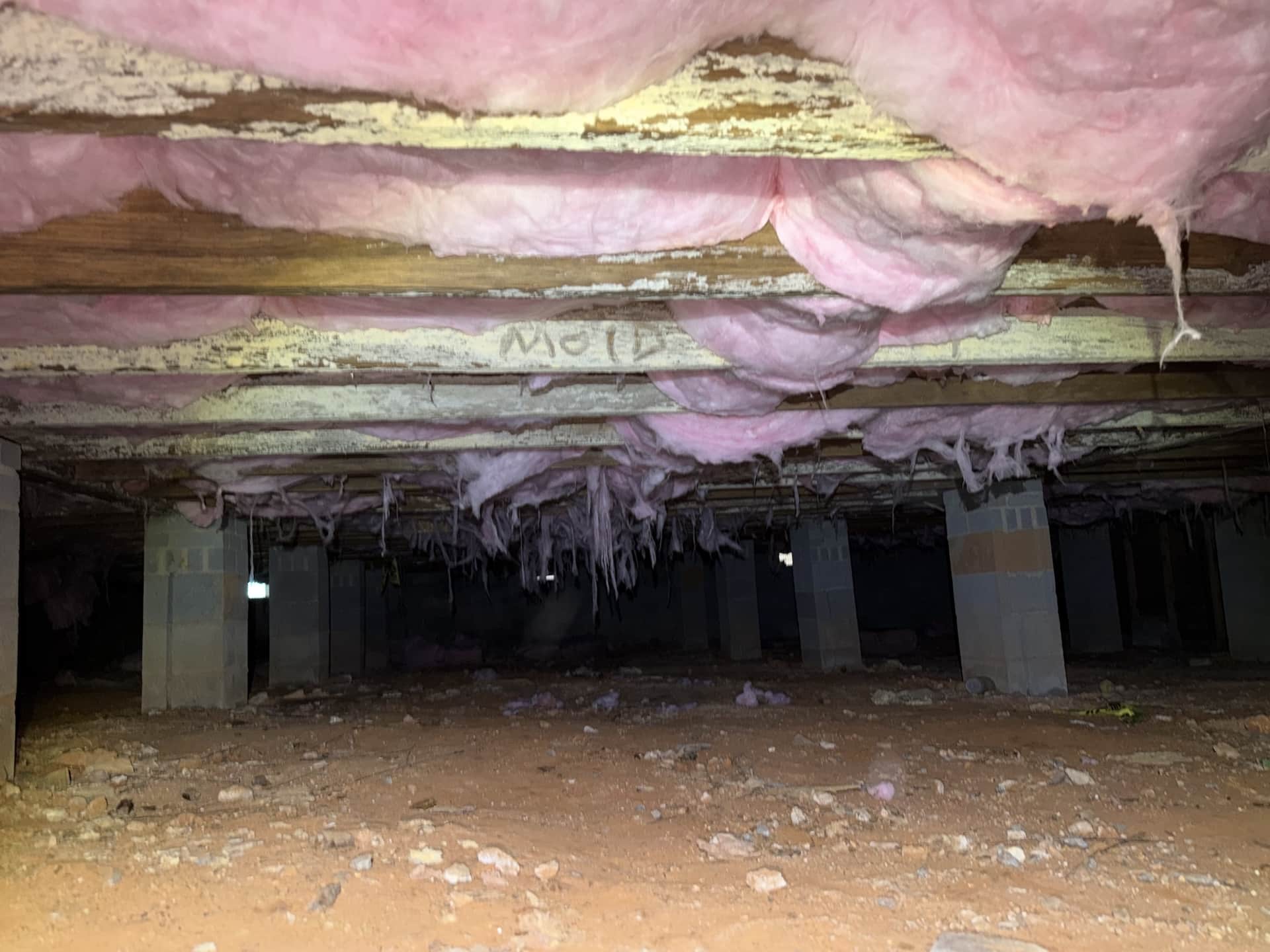 mold in a crawlspace