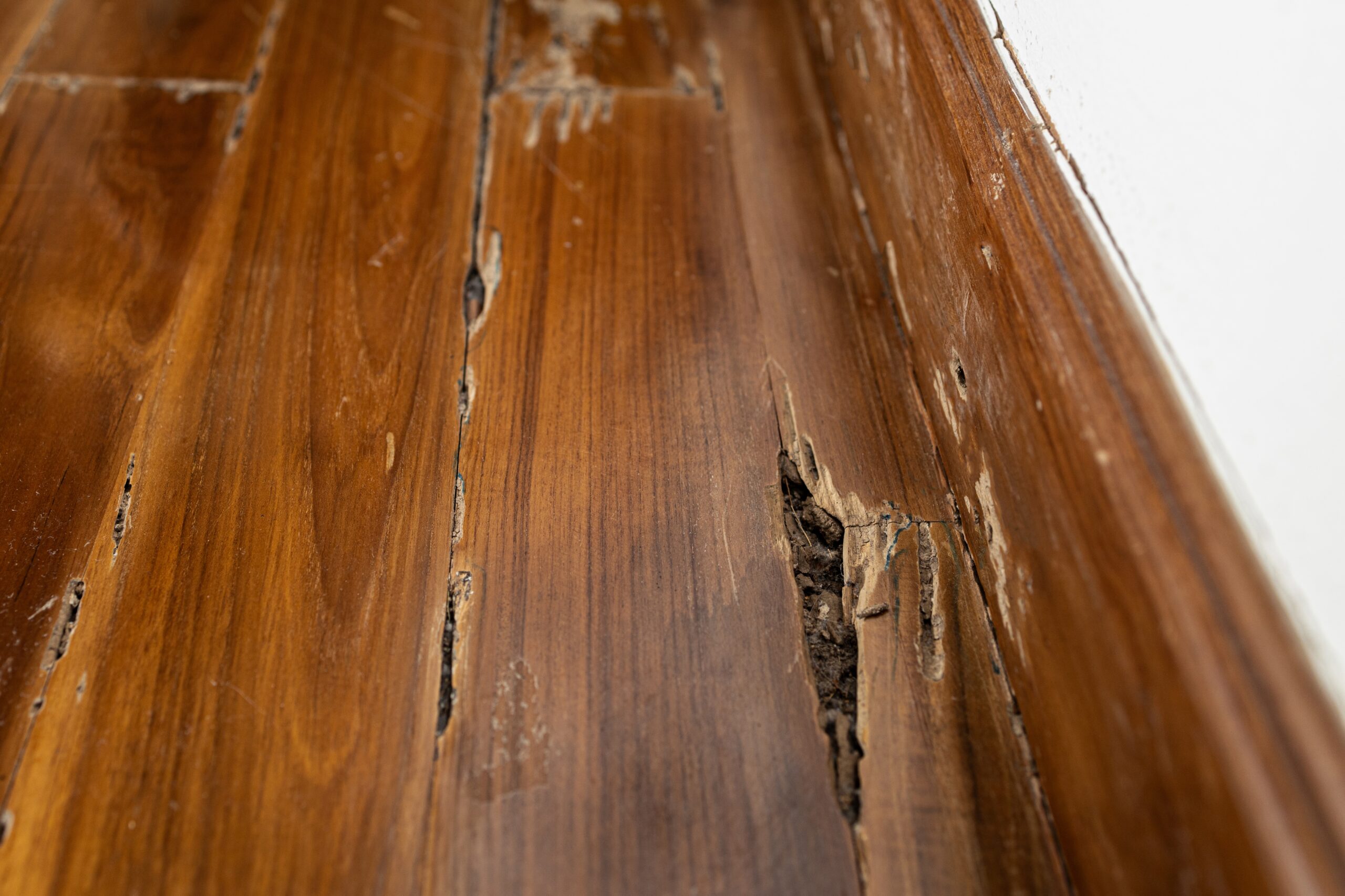 rotted wood floors