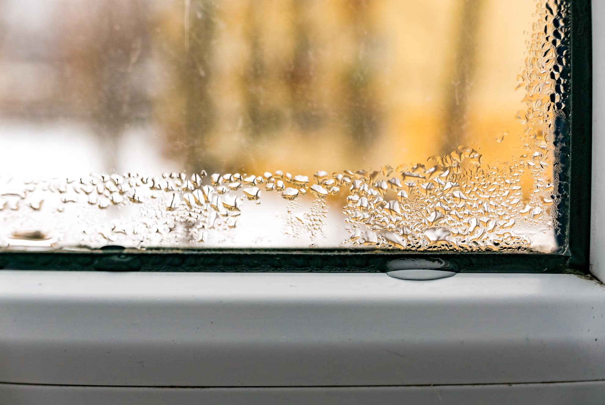 Wet window pane with black mold on plastic.