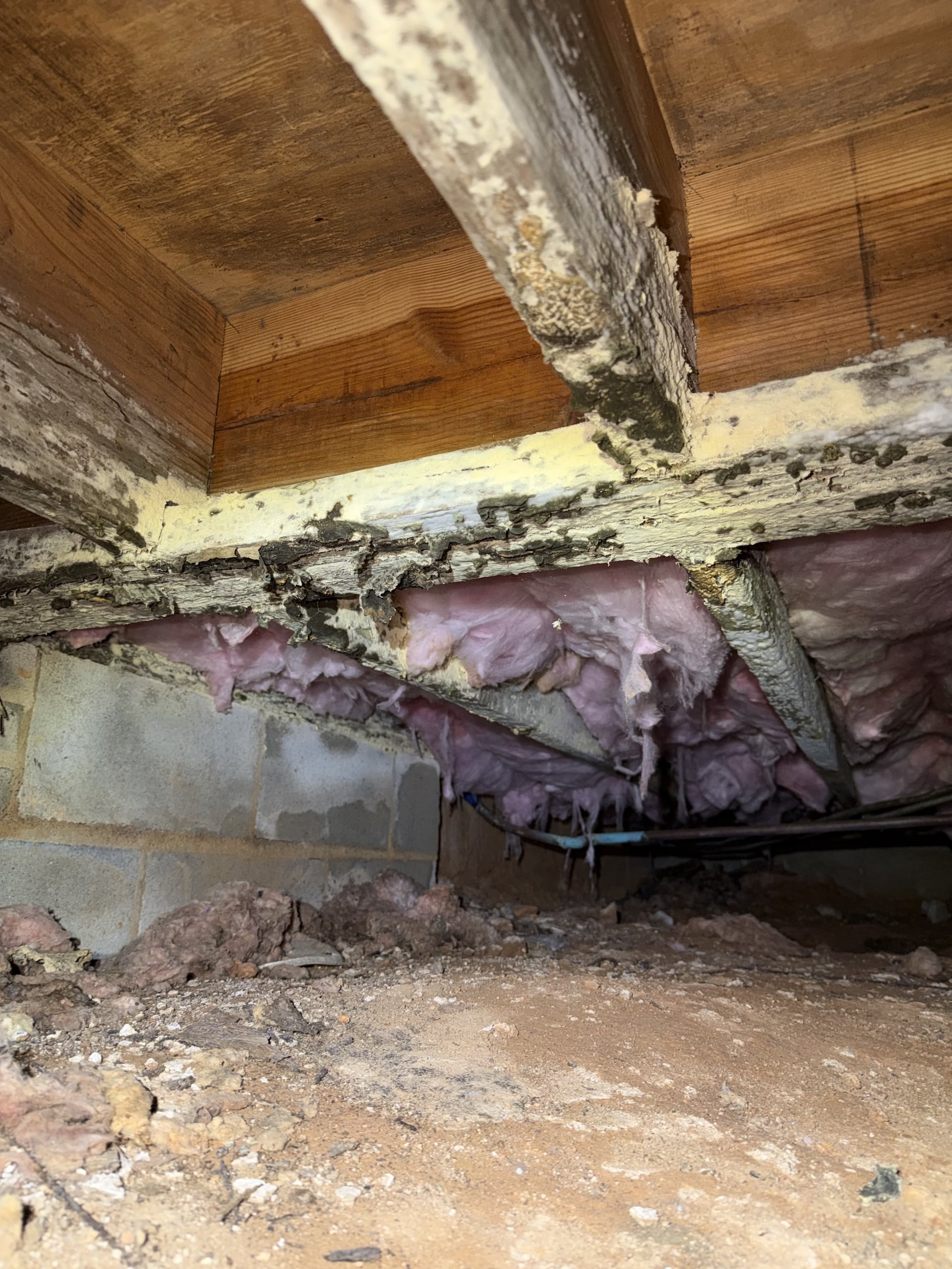 image showing crawl space with mold and wood rot under home in charlotte NC